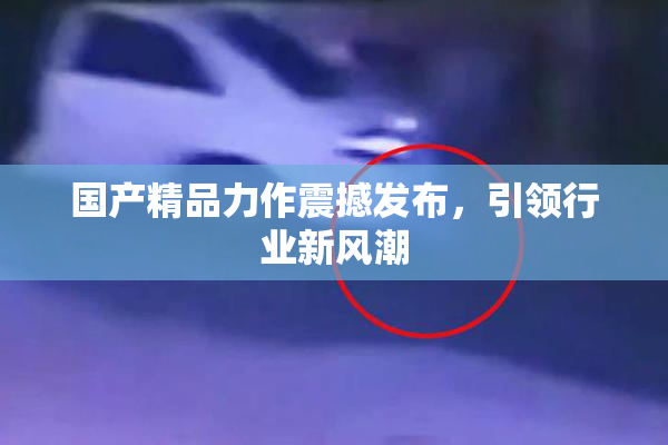 国产精品力作震撼发布，引领行业新风潮