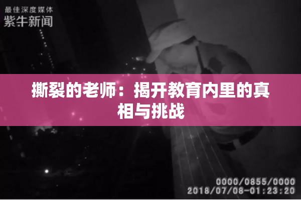 撕裂的老师：揭开教育内里的真相与挑战