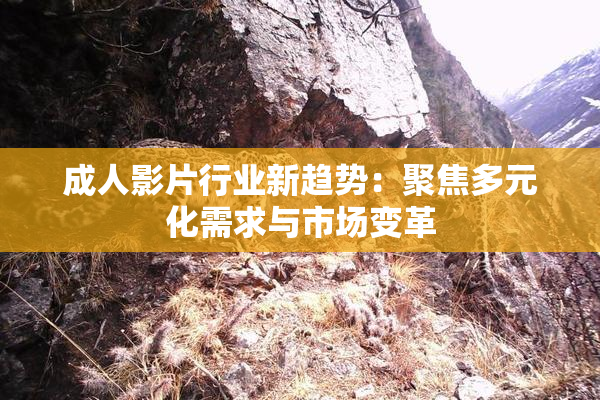 成人影片行业新趋势：聚焦多元化需求与市场变革