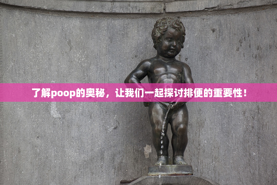 了解poop的奥秘，让我们一起探讨排便的重要性！