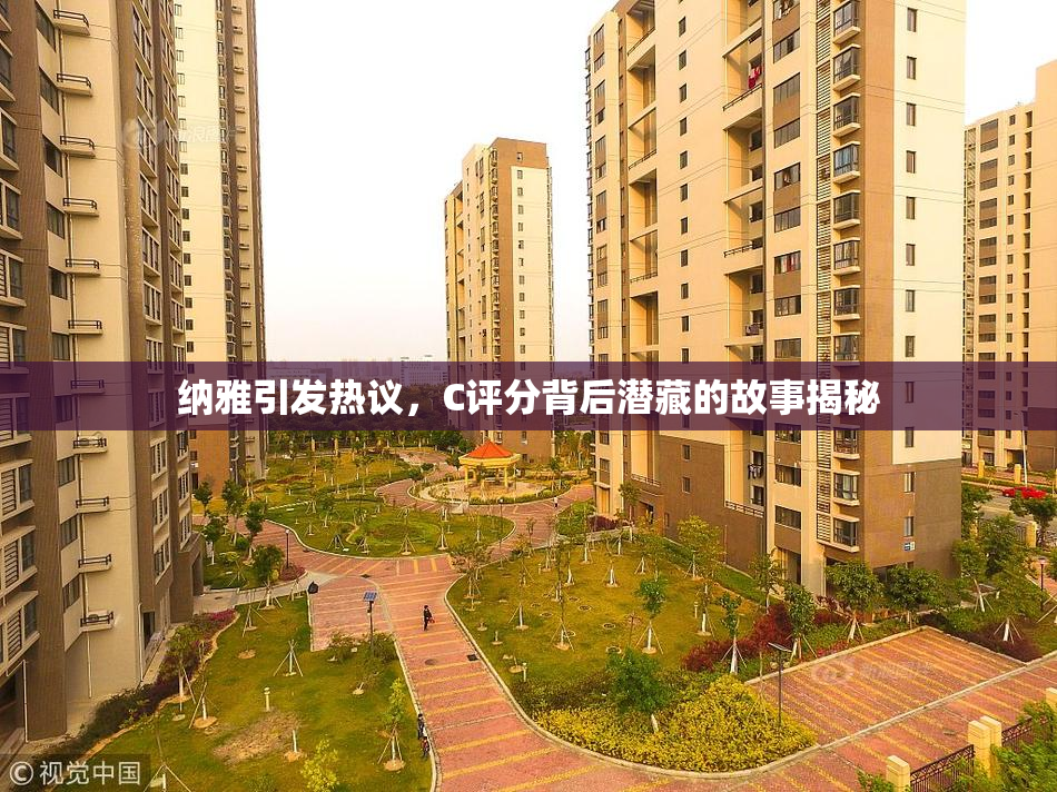 纳雅引发热议，C评分背后潜藏的故事揭秘