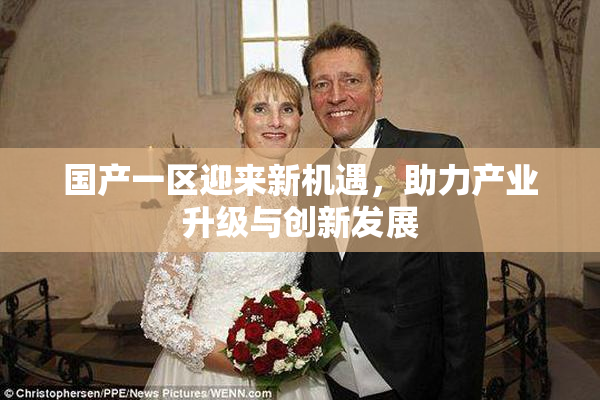国产一区迎来新机遇，助力产业升级与创新发展
