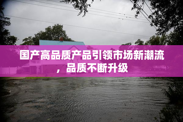 国产高品质产品引领市场新潮流，品质不断升级