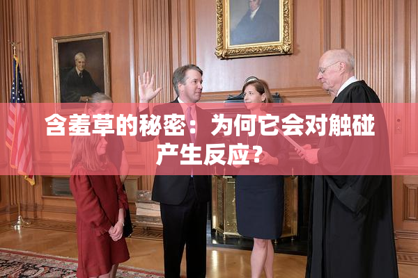 含羞草的秘密：为何它会对触碰产生反应？