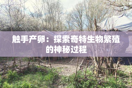 触手产卵：探索奇特生物繁殖的神秘过程