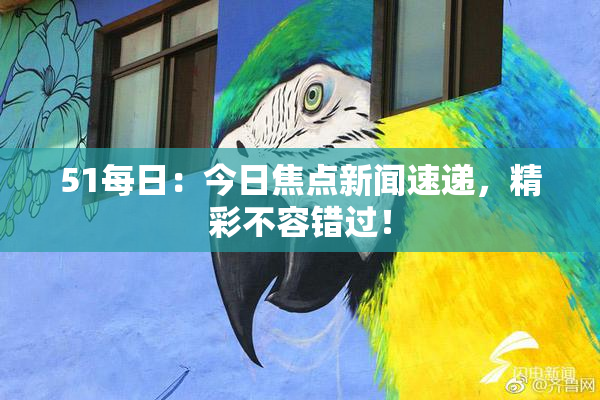 51每日：今日焦点新闻速递，精彩不容错过！