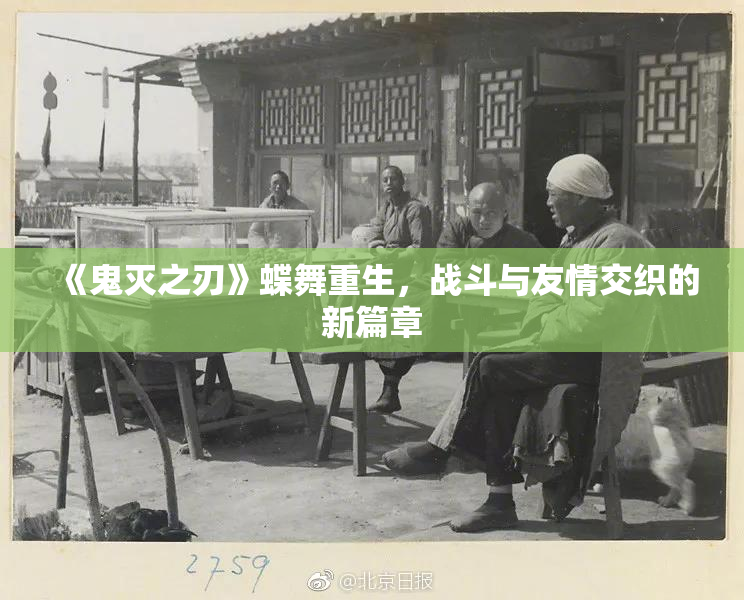 《鬼灭之刃》蝶舞重生，战斗与友情交织的新篇章