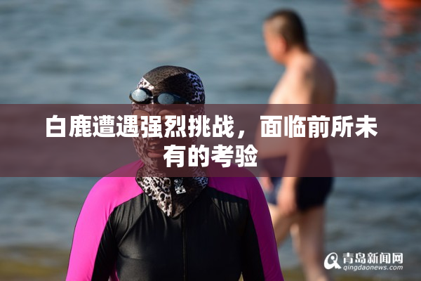 白鹿遭遇强烈挑战，面临前所未有的考验