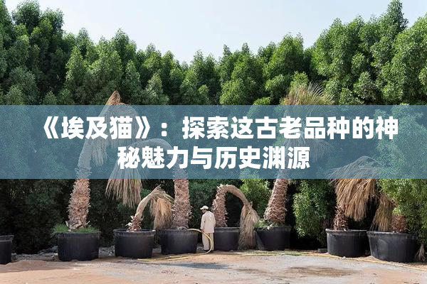 《埃及猫》：探索这古老品种的神秘魅力与历史渊源