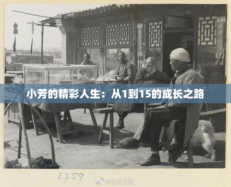 小芳的精彩人生：从1到15的成长之路