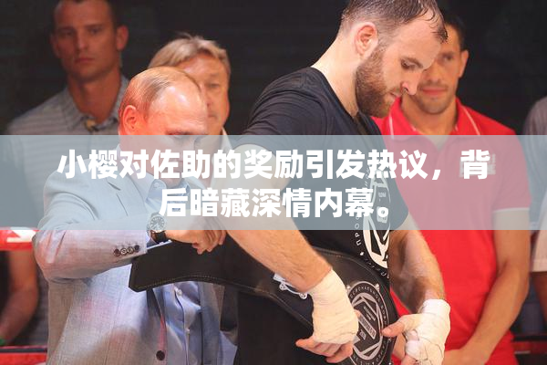 小樱对佐助的奖励引发热议，背后暗藏深情内幕。