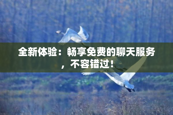 全新体验：畅享免费的聊天服务，不容错过！