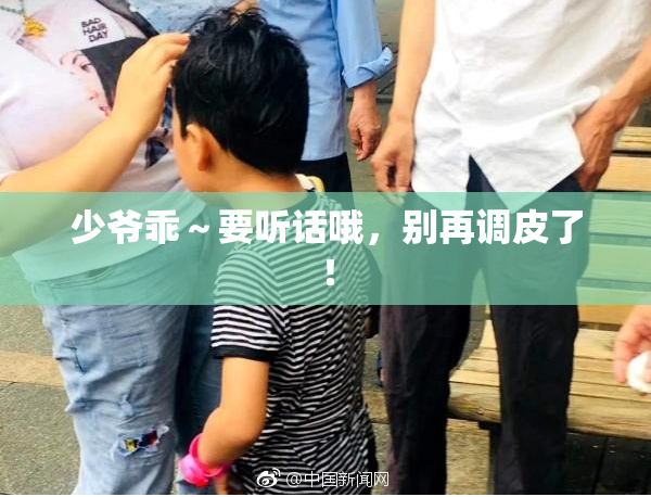 少爷乖～要听话哦，别再调皮了！