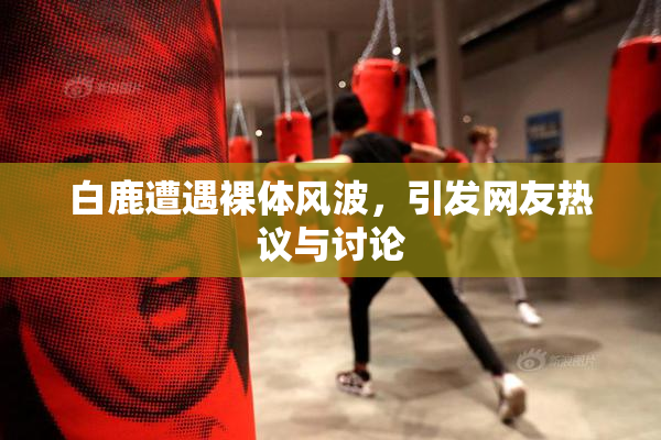 白鹿遭遇裸体风波，引发网友热议与讨论