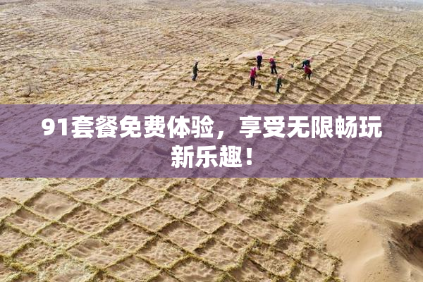 91套餐免费体验，享受无限畅玩新乐趣！