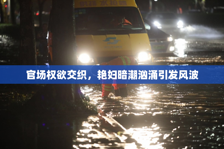 官场权欲交织，艳妇暗潮汹涌引发风波