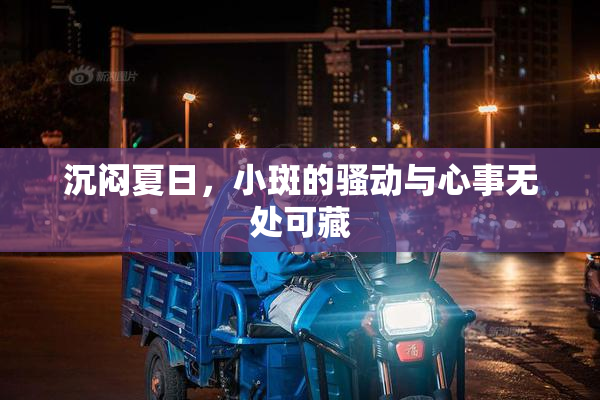 沉闷夏日，小斑的骚动与心事无处可藏