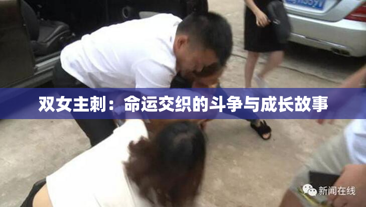 双女主刺：命运交织的斗争与成长故事