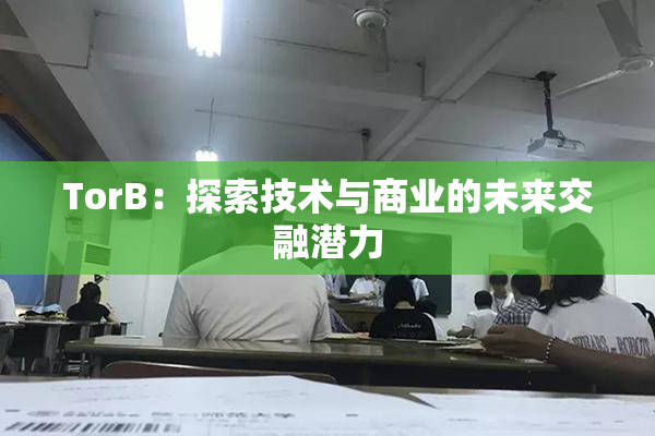 TorB：探索技术与商业的未来交融潜力