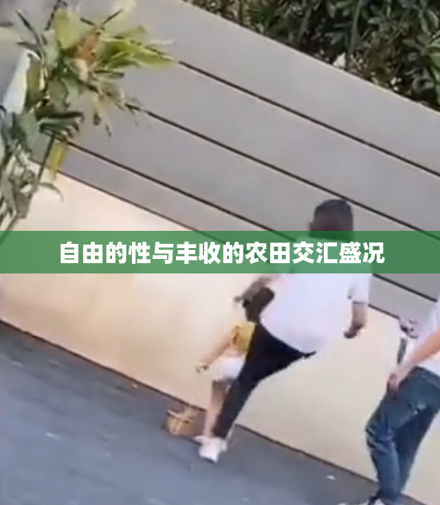 自由的性与丰收的农田交汇盛况