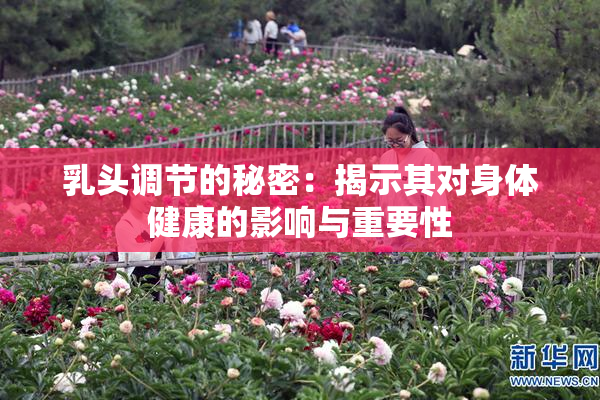 乳头调节的秘密：揭示其对身体健康的影响与重要性
