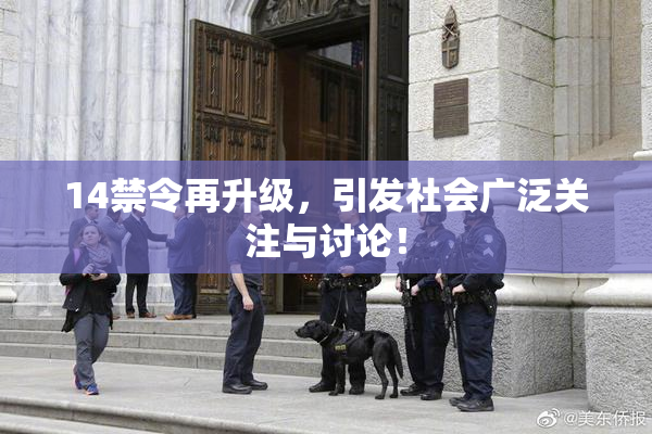 14禁令再升级，引发社会广泛关注与讨论！