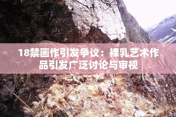 18禁画作引发争议：裸乳艺术作品引发广泛讨论与审视