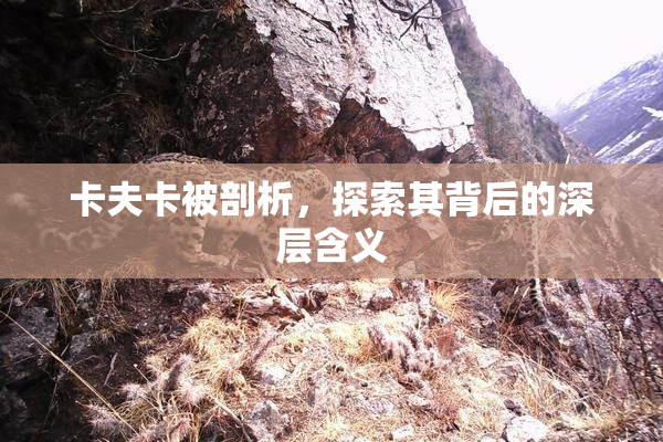 卡夫卡被剖析，探索其背后的深层含义