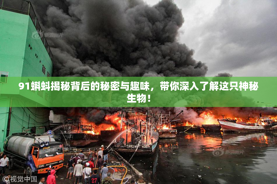 91蝌蚪揭秘背后的秘密与趣味，带你深入了解这只神秘生物！