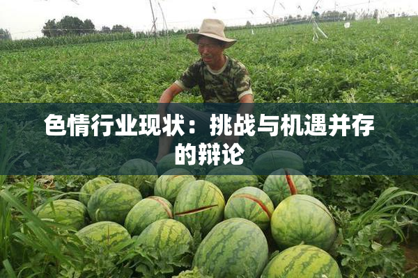 色情行业现状：挑战与机遇并存的辩论