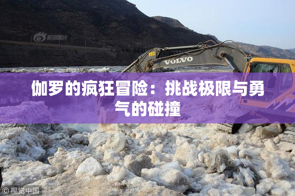 伽罗的疯狂冒险：挑战极限与勇气的碰撞