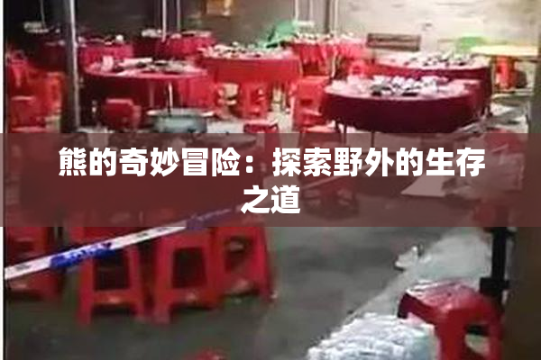 熊的奇妙冒险：探索野外的生存之道