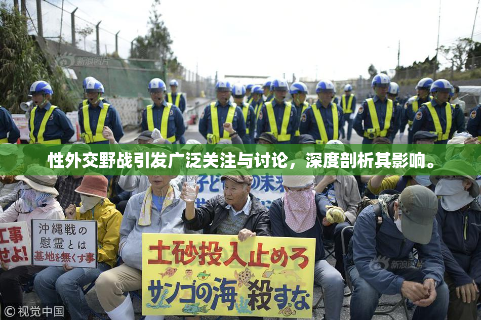 性外交野战引发广泛关注与讨论，深度剖析其影响。