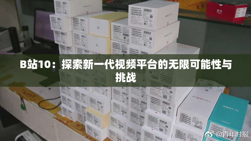 B站10：探索新一代视频平台的无限可能性与挑战