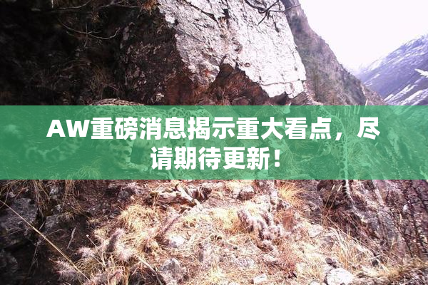 AW重磅消息揭示重大看点，尽请期待更新！