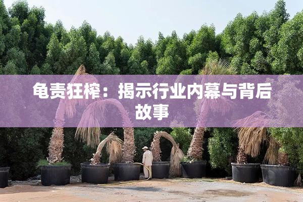 龟责狂榨：揭示行业内幕与背后故事