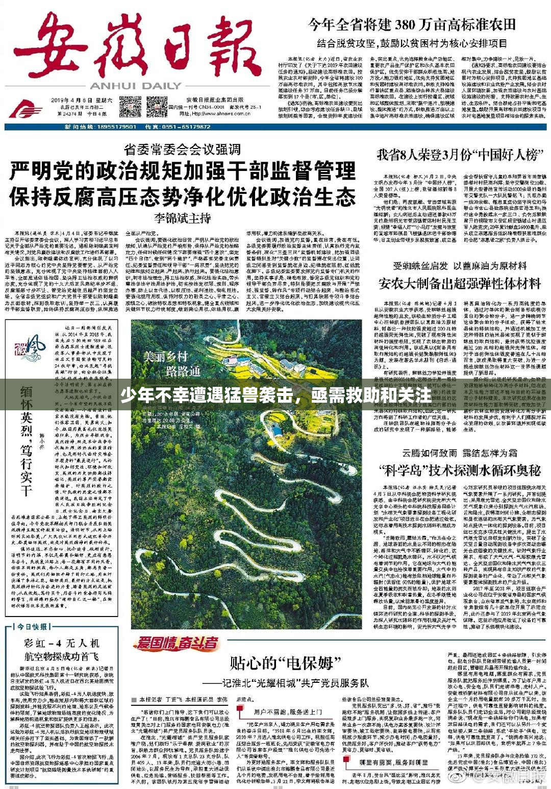 少年不幸遭遇猛兽袭击，亟需救助和关注