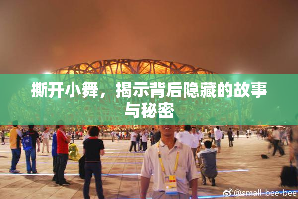 撕开小舞，揭示背后隐藏的故事与秘密