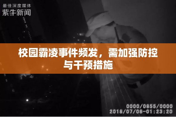 校园霸凌事件频发，需加强防控与干预措施