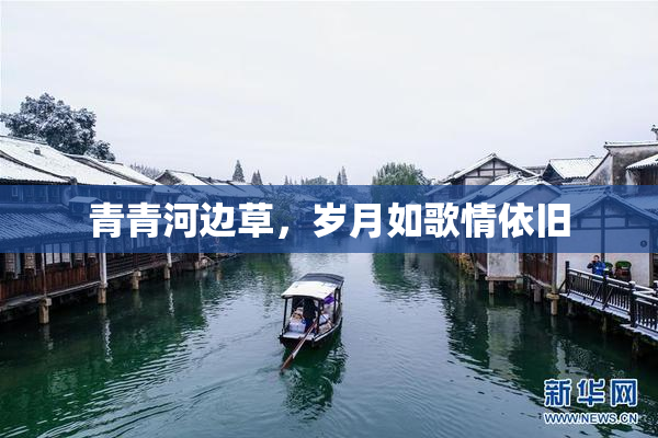 青青河边草，岁月如歌情依旧