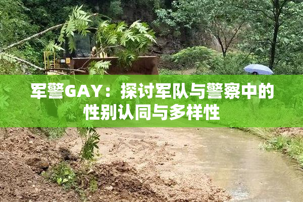 军警GAY：探讨军队与警察中的性别认同与多样性