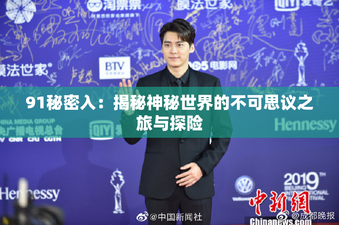 91秘密入：揭秘神秘世界的不可思议之旅与探险