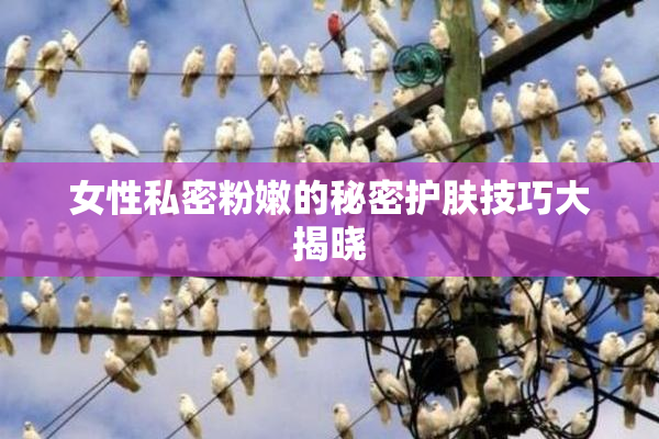女性私密粉嫩的秘密护肤技巧大揭晓