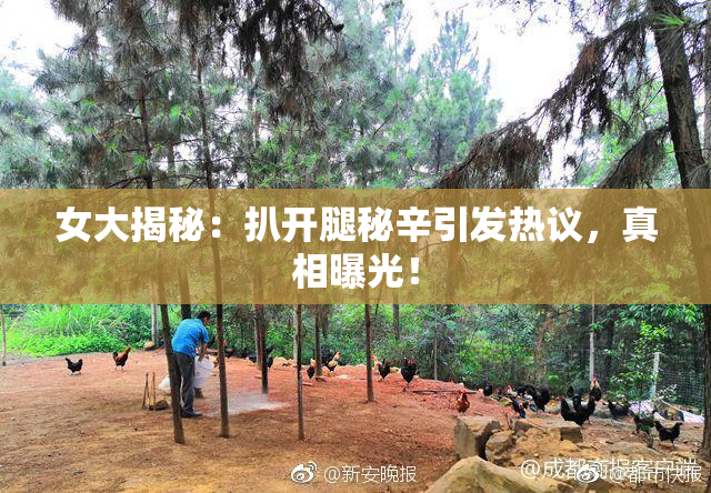 女大揭秘：扒开腿秘辛引发热议，真相曝光！