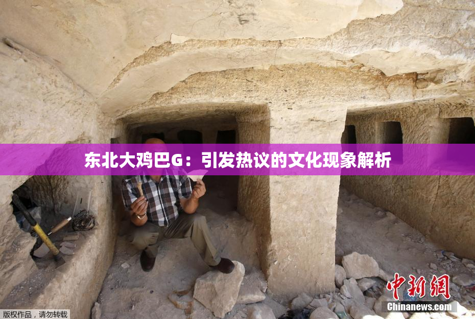 东北大鸡巴G：引发热议的文化现象解析