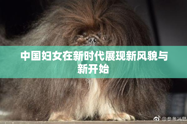 中国妇女在新时代展现新风貌与新开始