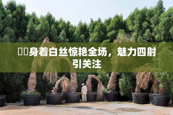 妺妺身着白丝惊艳全场，魅力四射引关注