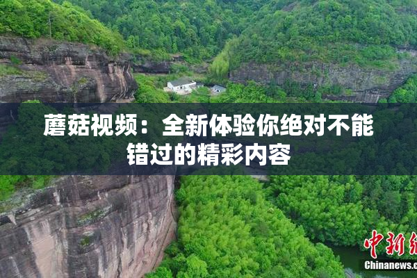 蘑菇视频：全新体验你绝对不能错过的精彩内容