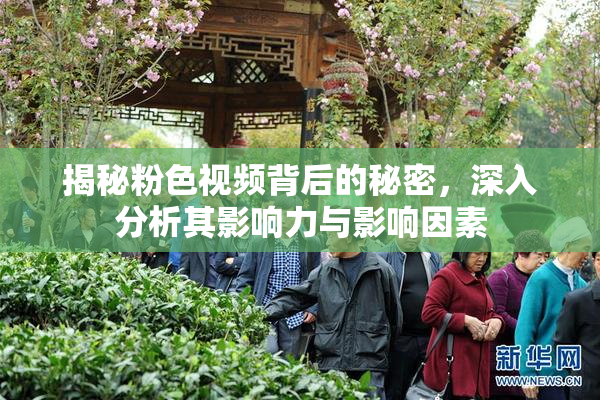 揭秘粉色视频背后的秘密，深入分析其影响力与影响因素