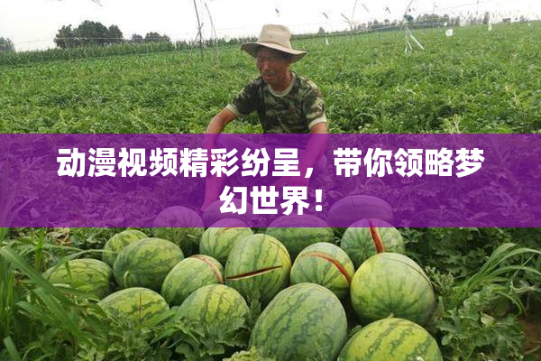 动漫视频精彩纷呈，带你领略梦幻世界！